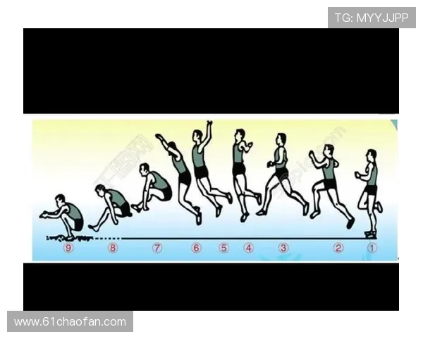 体育比赛专业版：全面解析各类赛事的规则与策略